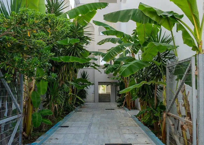 Hotel Mojo Zante Laganas