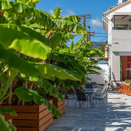 Mojo Zante Hotel Laganas